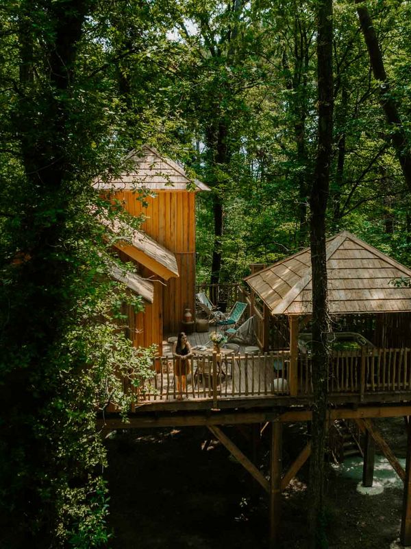 Cabane la forêt